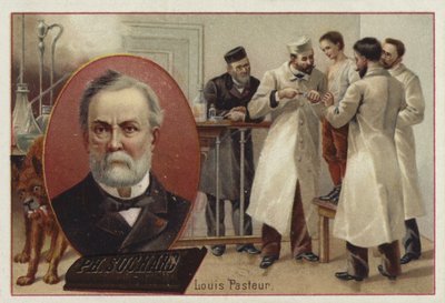 Louis Pasteur, químico y microbiólogo francés de European School